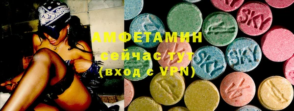 молекула духа Алексин
