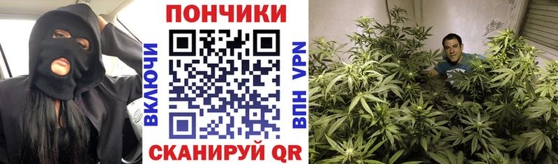 Канабис сатива  Игарка 